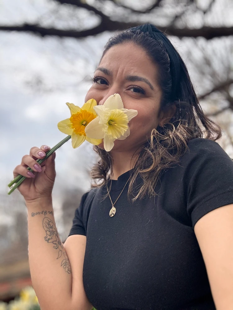 Image uploaded by Divania