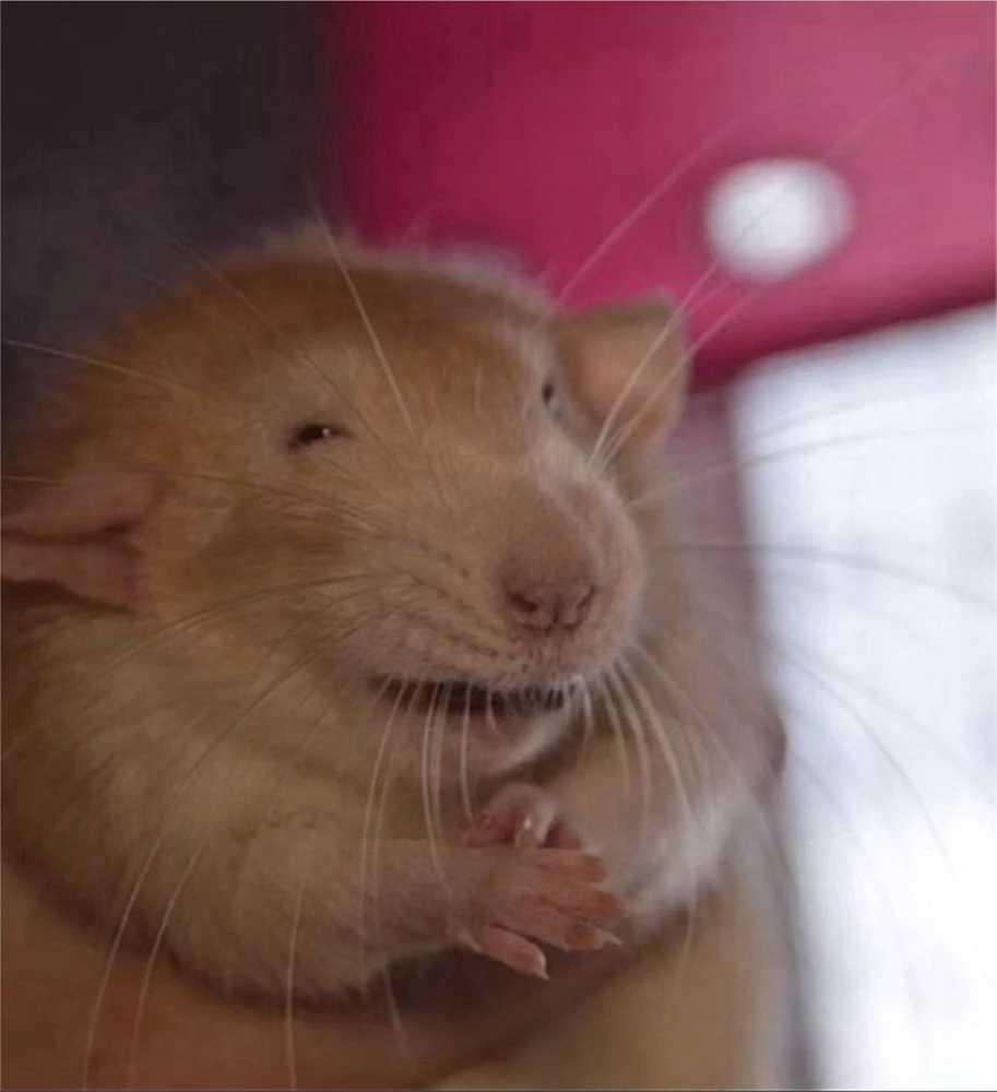 GIF uploaded by Jake