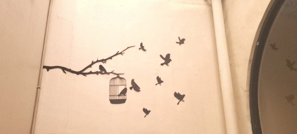 Image uploaded by Nf