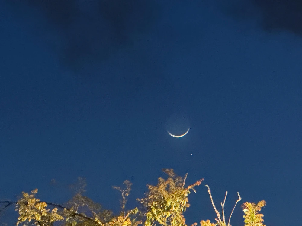 Image uploaded by Guy-O-Blanco