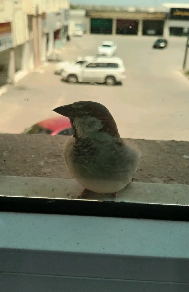 GIF diunggah dening 𝑨𝒏𝒆𝒆𝒍..