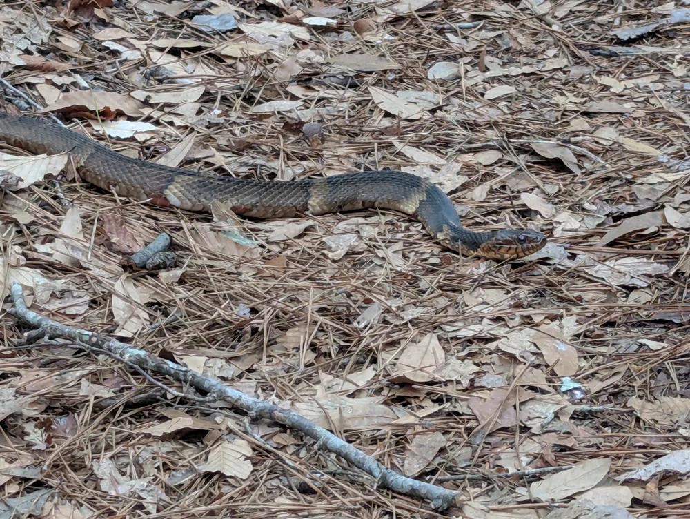 GIF uploaded by Scott