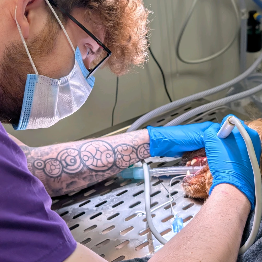 GIF diunggah dening Peter