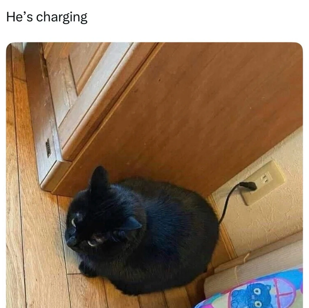 GIF uploaded by bellissima