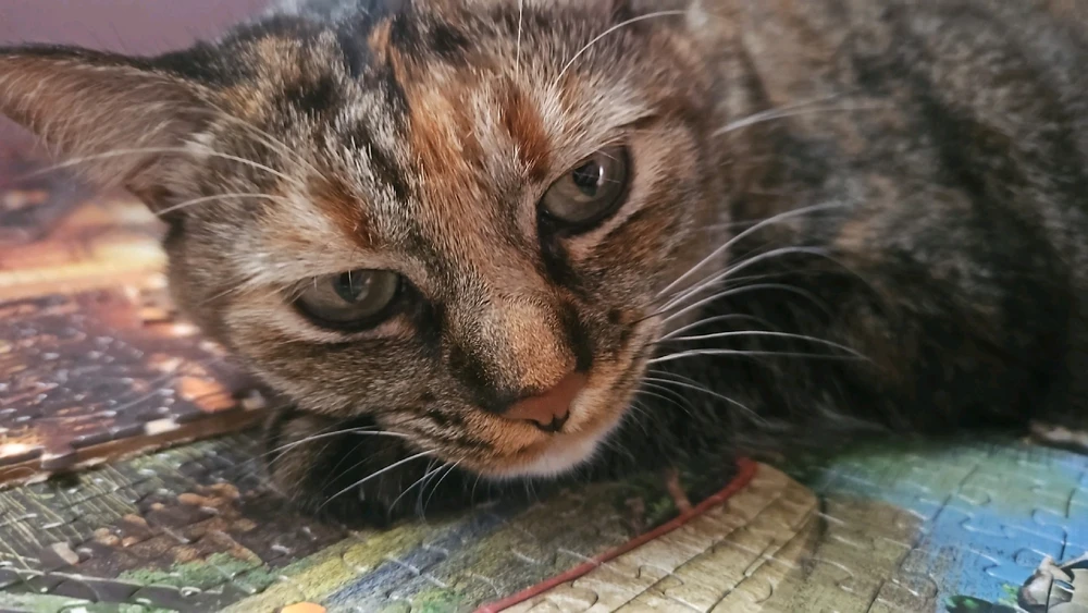 GIF enviado por Stela