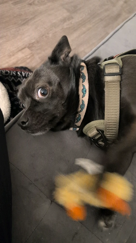 GIF uploaded by Claire 😊