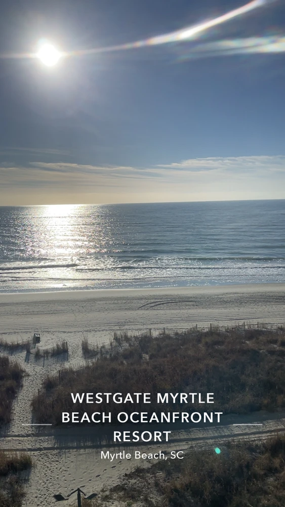 GIF uploaded by Joshua