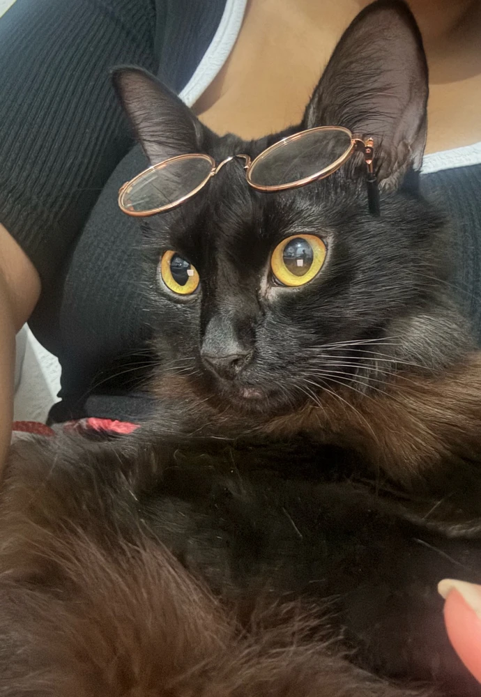 GIF enviado por Júlia