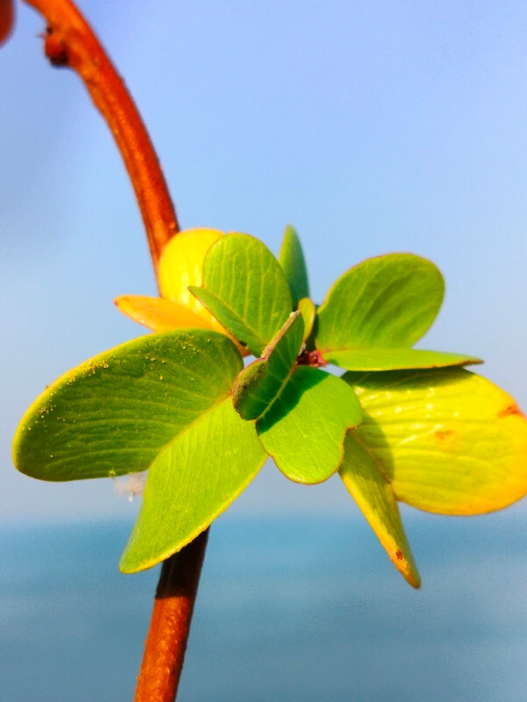 Gambar diunggah dening ꓤꓯGꓧꓯꓥ