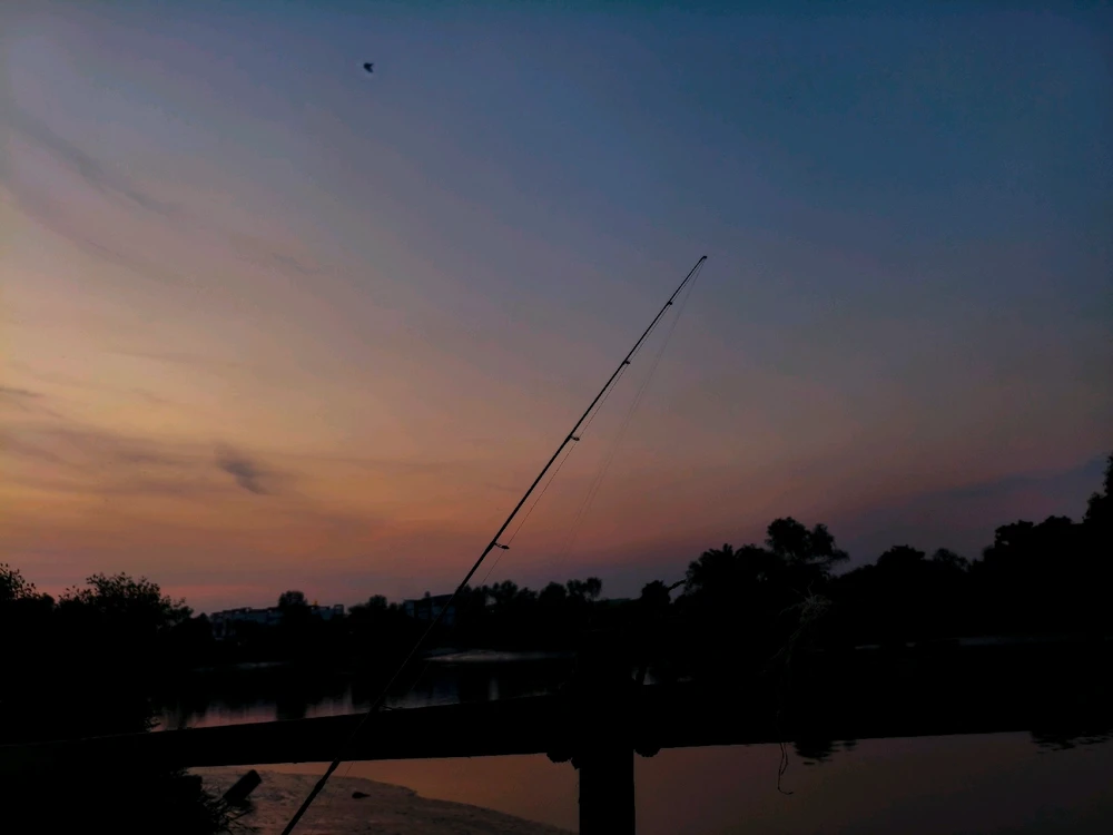 GIF dimuat naik oleh Fiyy