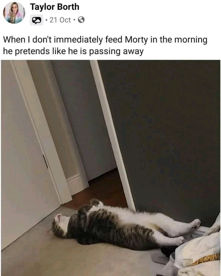 GIF uploaded by ๊ง๊ซฑ๊ง ๐ด๐๐๐ฟ๐๐ ๊ง๊ซฑ๊ง