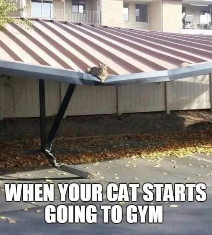 GIF uploaded by WVWVANA