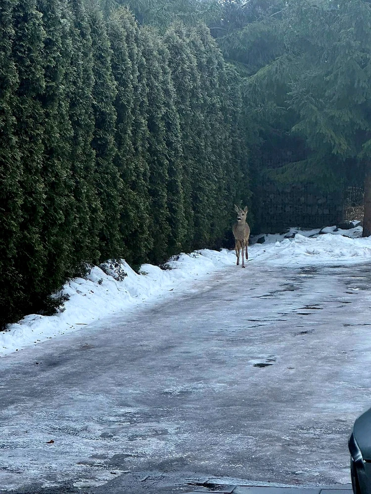 Zdjęcie dodane przez Paweł