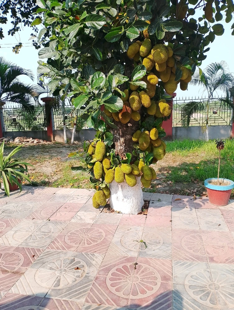 GIF uploaded by Anupama