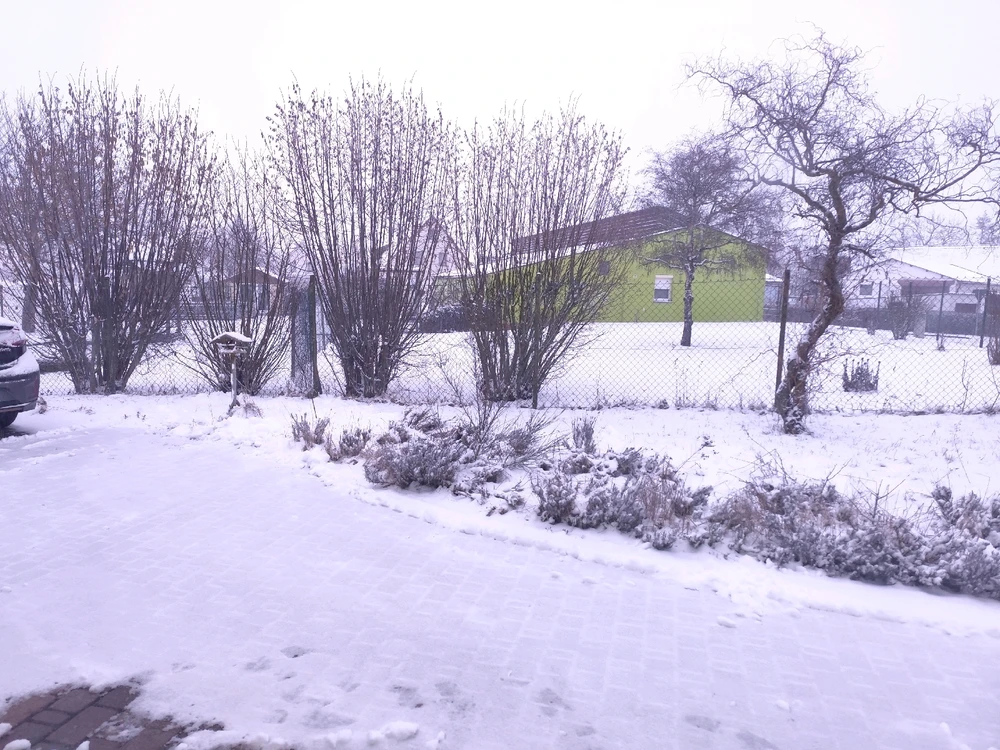 Bild hochgeladen von Sarah