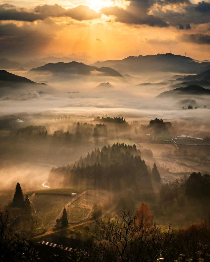 GIF ajouté par Stef