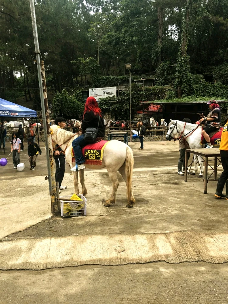 Image uploaded by Gulayyy