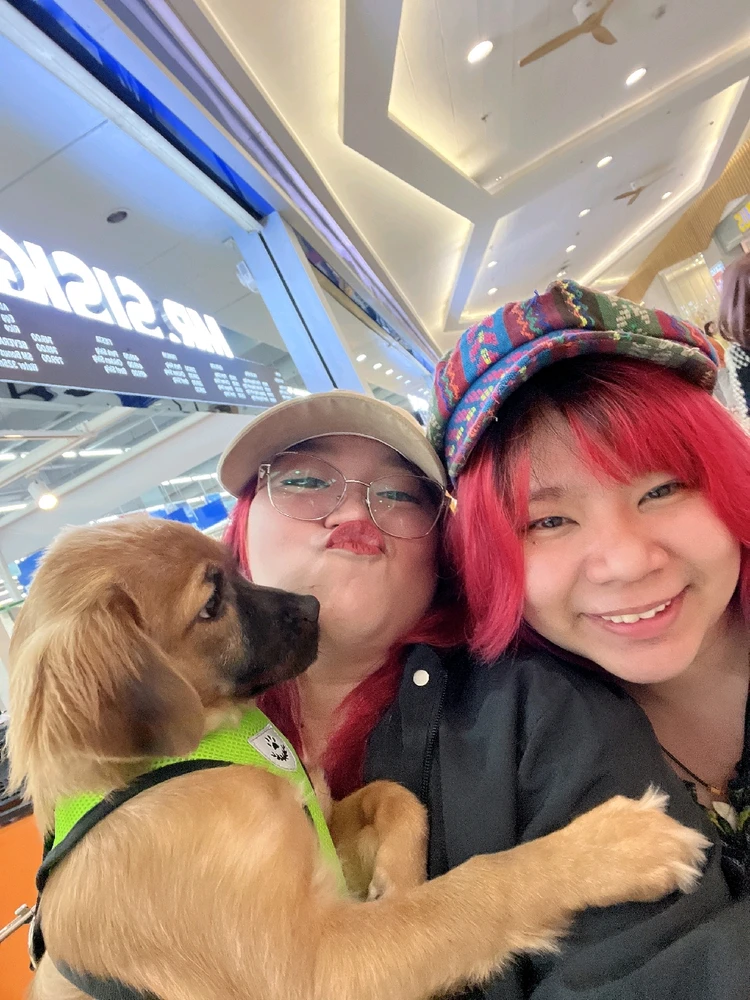 Image uploaded by Gulayyy