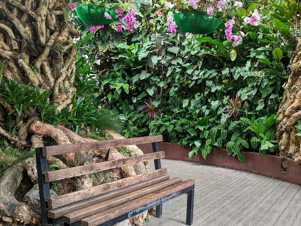 Image uploaded by Gulayyy