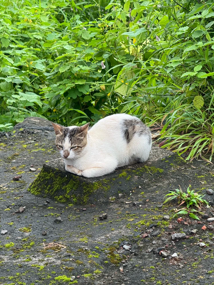 GIF uploaded by Sunny