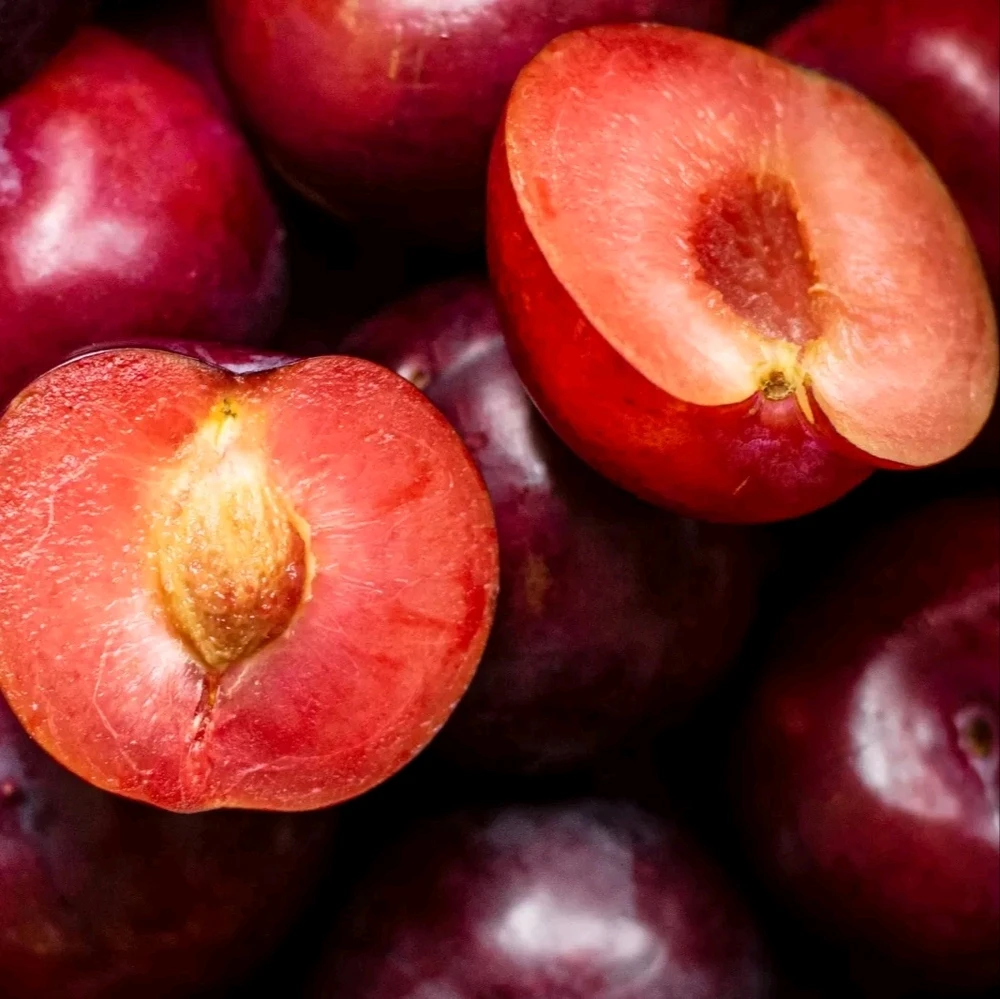 Image uploaded by 𝓢𝓮𝓻𝓮𝓷 • 𝓢𝓮𝓻𝓮𝓷𝓭𝓲𝓹𝓲𝓽𝔂