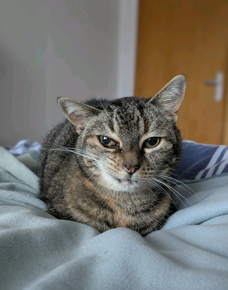 GIF hochgeladen von Martin