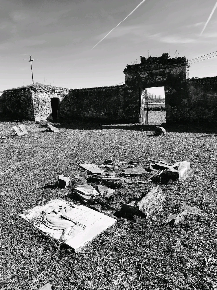 Immagine caricata da Giulio