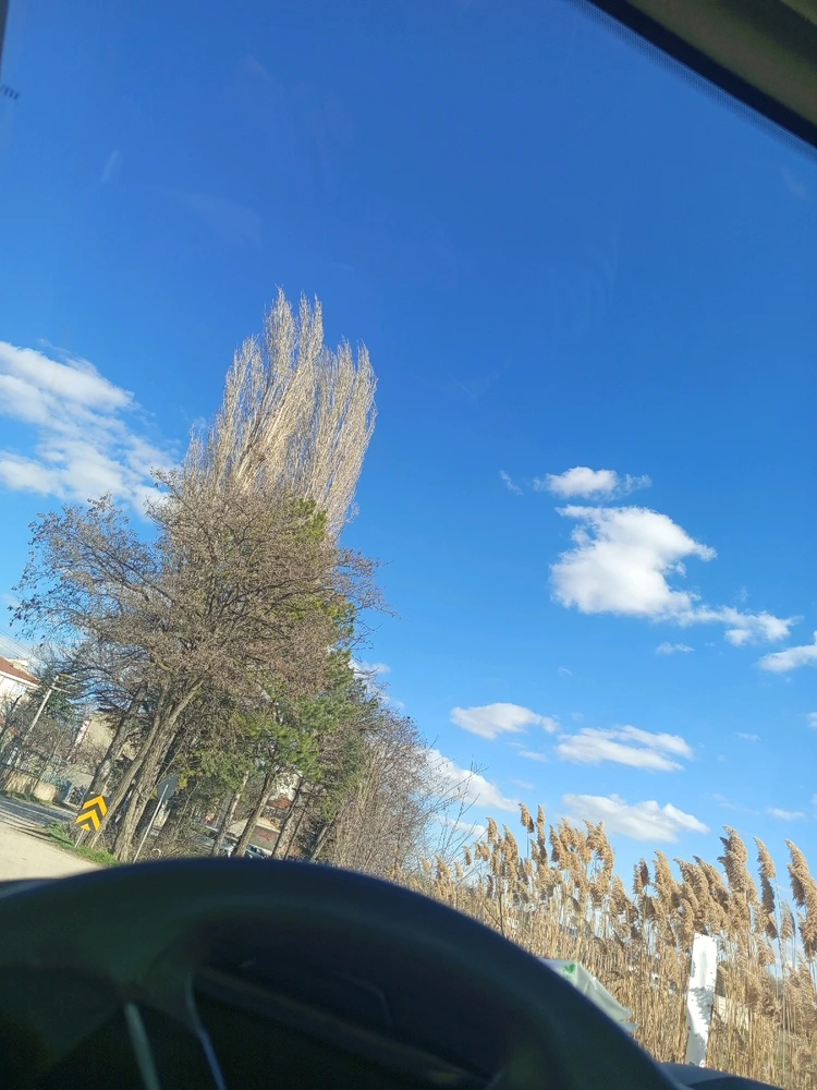 Tanselli tarafından yüklenen GIF