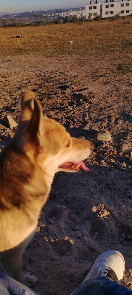 Imagen subida por Carlos Linares