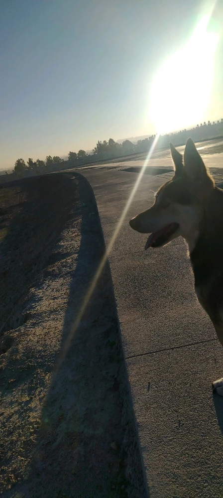 Imagen subida por Carlos Linares