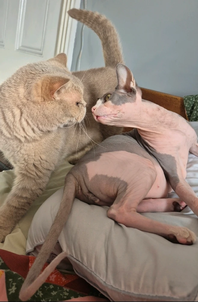 GIF uploaded by Alex