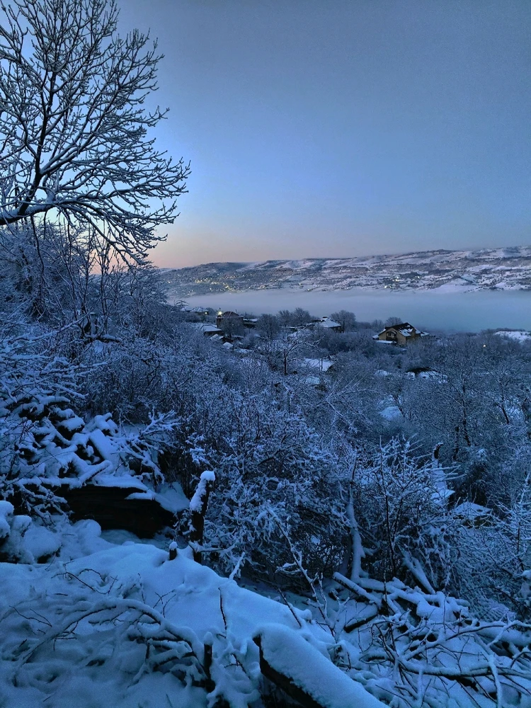 Image uploaded by Lina