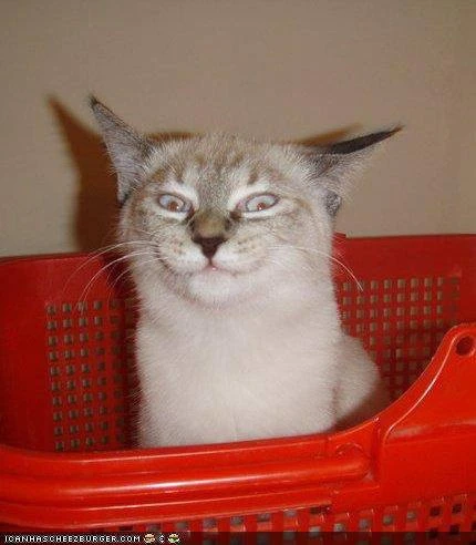 Image uploaded by Samuel