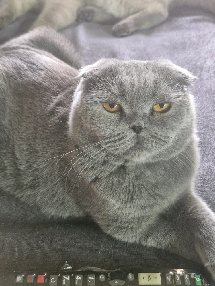 Aslı tarafından yüklenen görsel