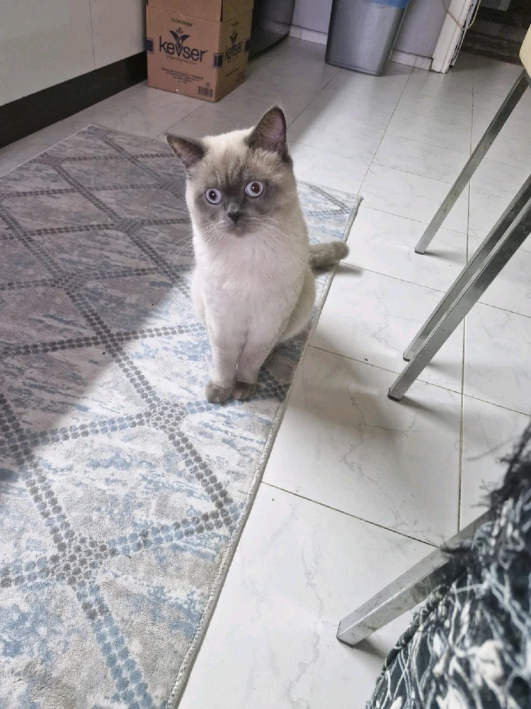 Aslı tarafından yüklenen görsel