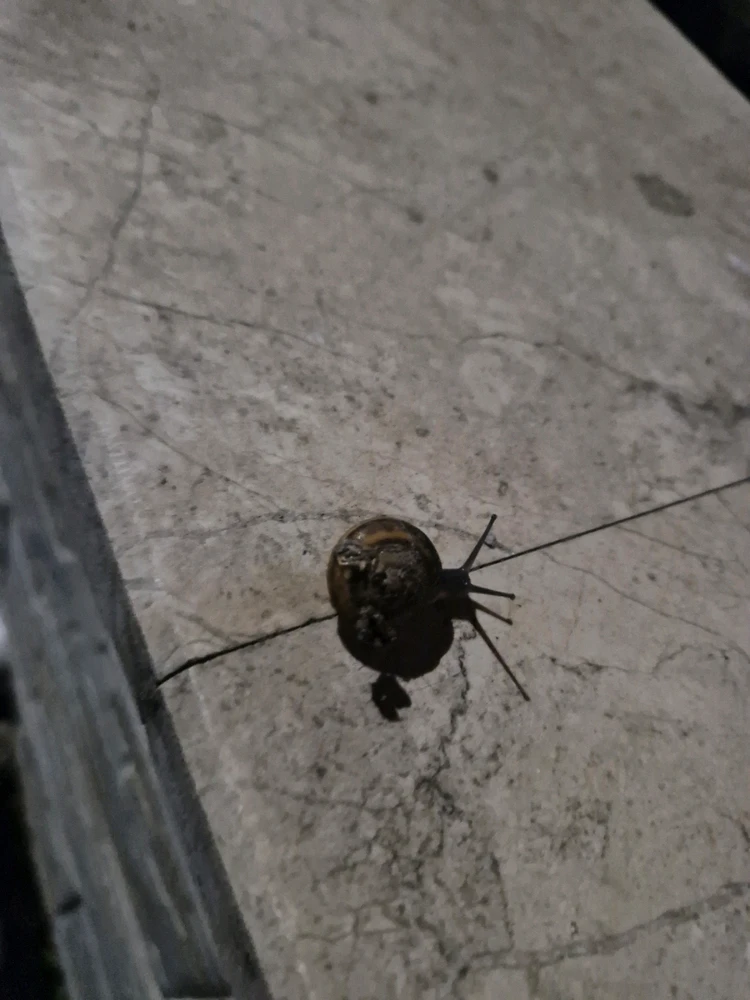 Aslı tarafından yüklenen görsel