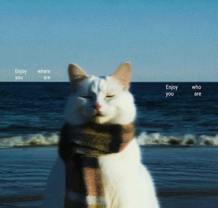 GIF được ︎ ︎ ︎ ︎ tải lên