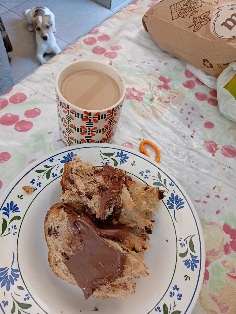 Imagem enviada por Bella