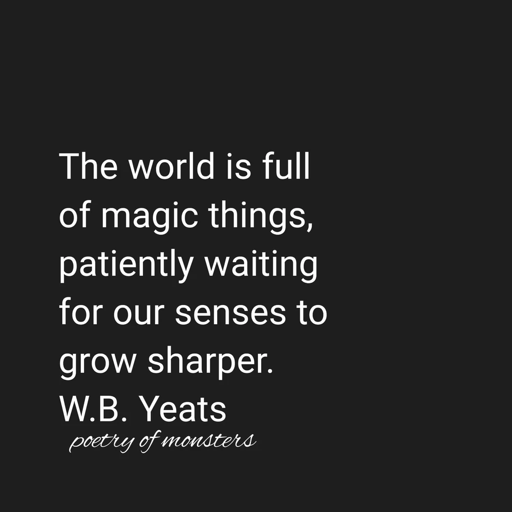 GIF uploaded by Allison