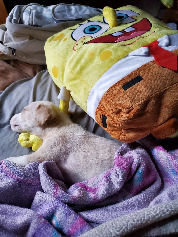 Image uploaded by Savannah