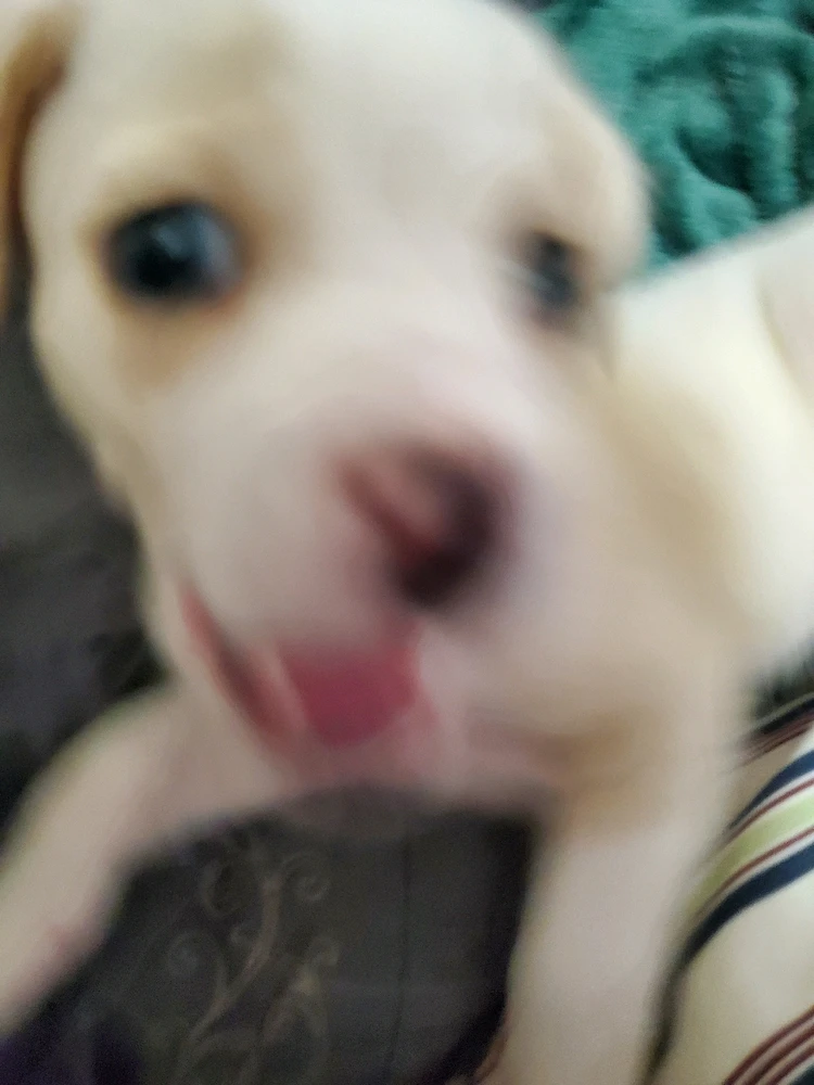 Image uploaded by Savannah