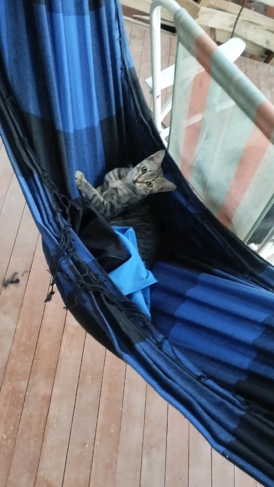 GIF enviado por Chicoviny