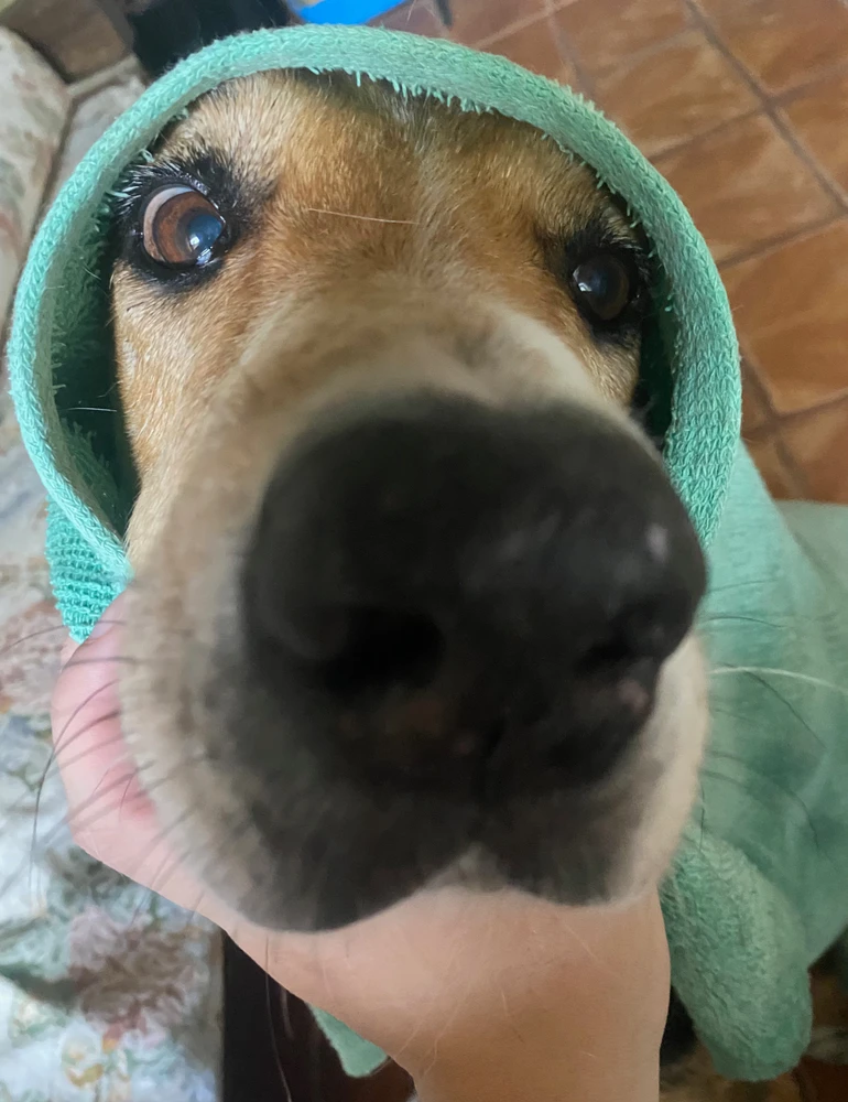 GIF enviado por Erick