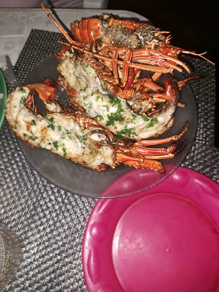 Image uploaded by Samuel