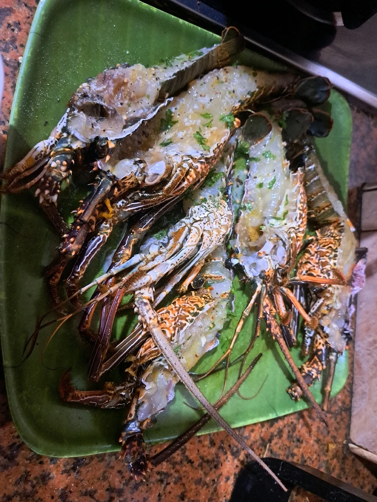 Image uploaded by Samuel