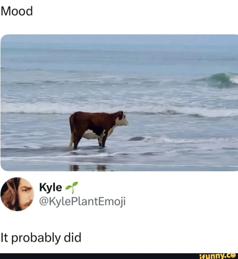 Image uploaded by Heather