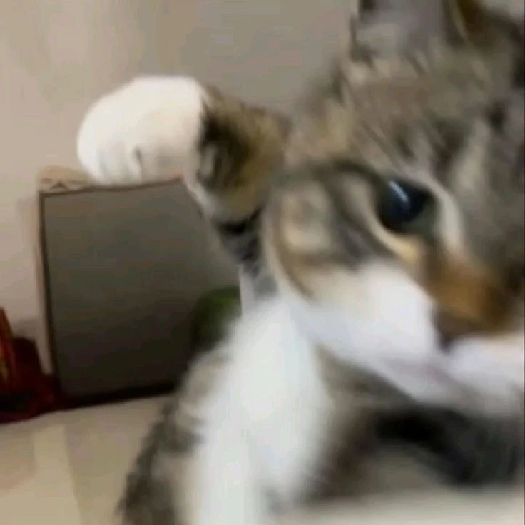 GIF uploaded by Lilith