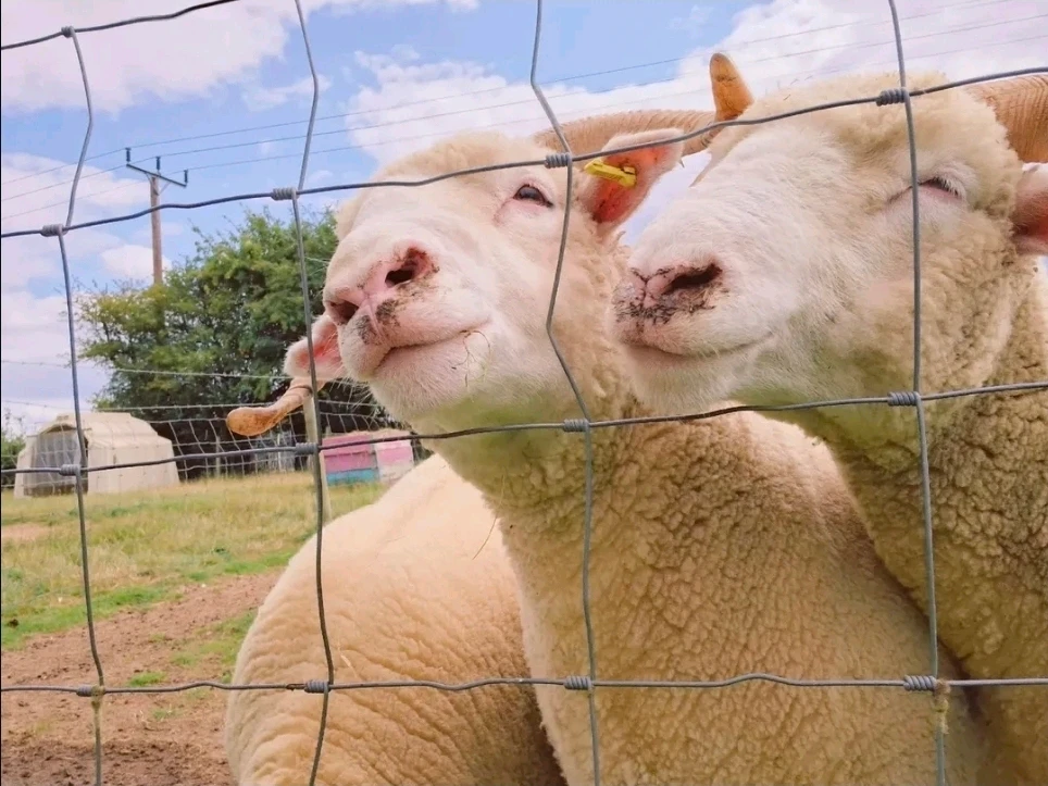 GIF uploaded by Swann