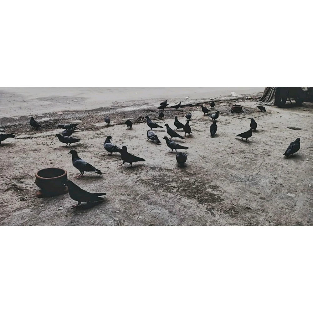 GIF uploaded by Mitter