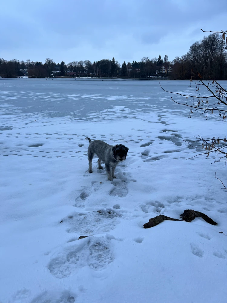 GIF hochgeladen von Leonie